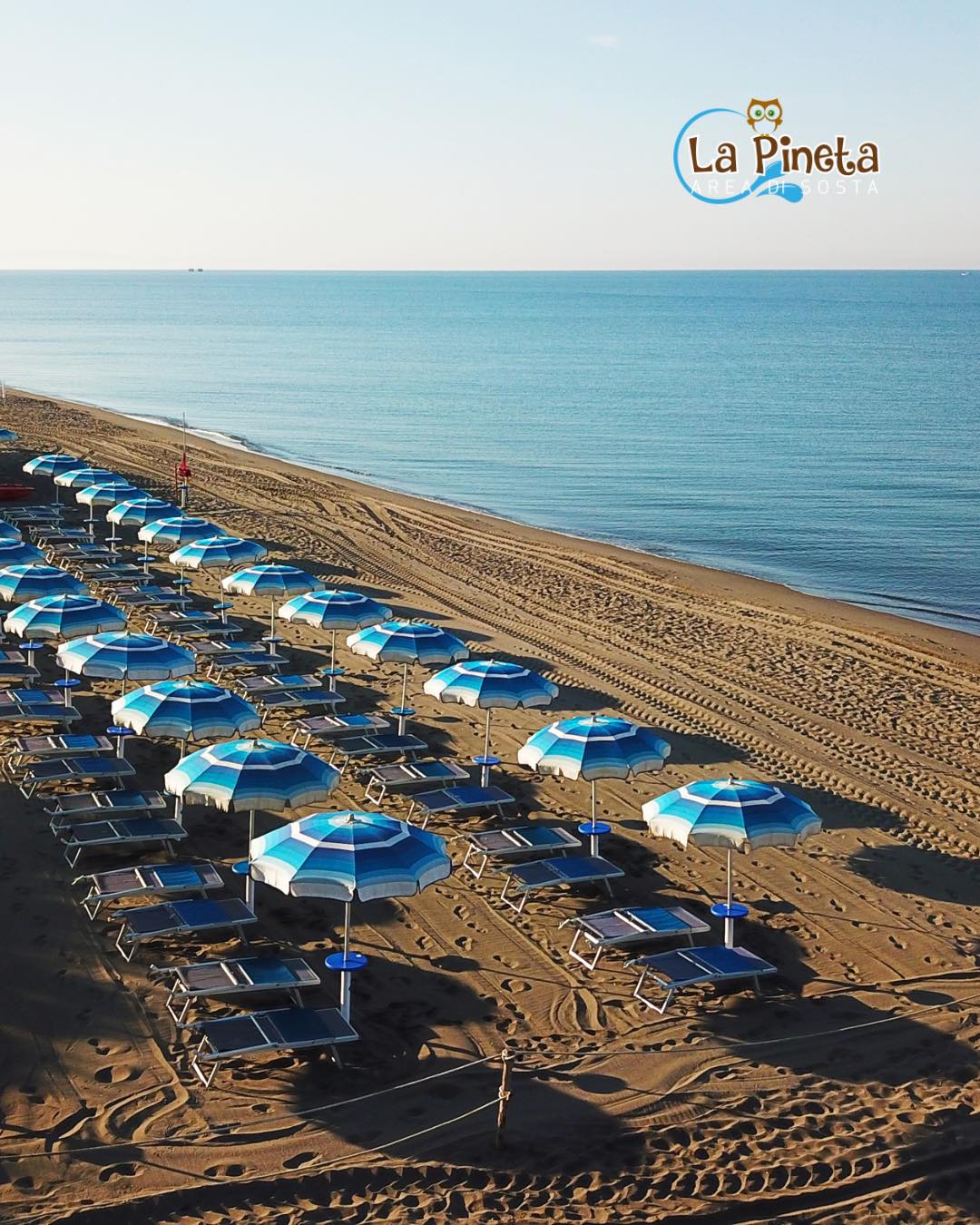 la pineta spiaggia