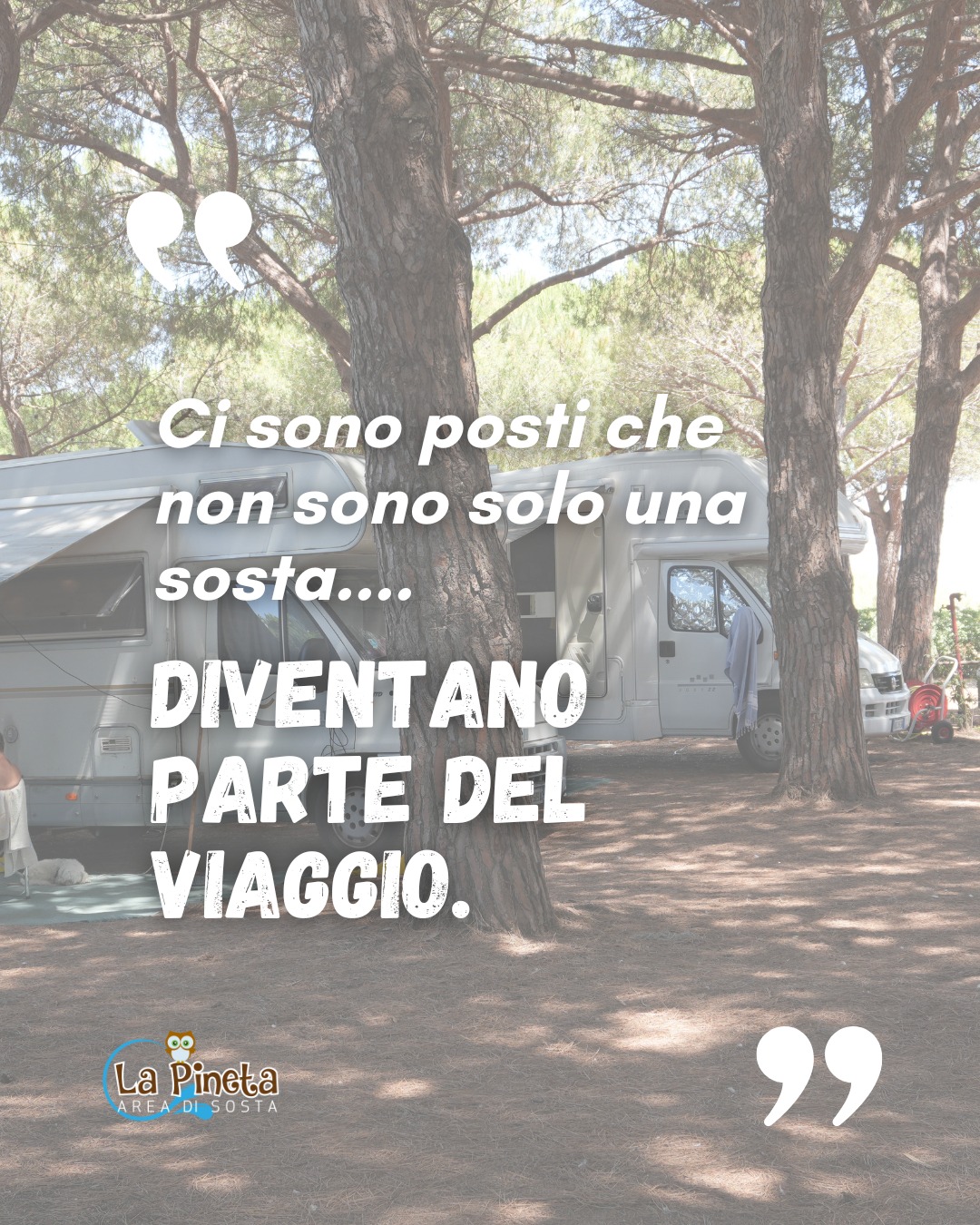 la pineta